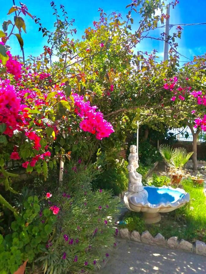 Villa Tripepi Bova Marina Εξωτερικό φωτογραφία